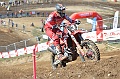 _ROB6903 (Copy)